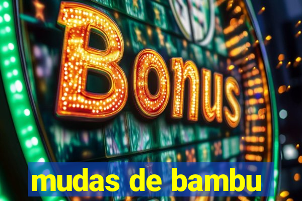 mudas de bambu